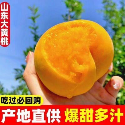 正宗山东蒙阴纯甜大黄鲜果黄桃新鲜水果当季应季黄金毛桃锦绣桃子