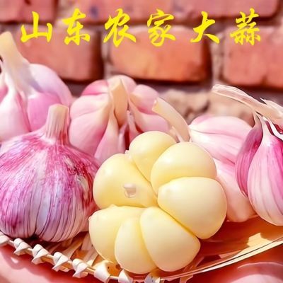 批发2025山东正宗新干白皮大蒜紫皮特大农家批发新鲜红皮便宜