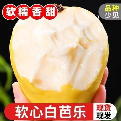 带箱3斤放软吃黄金奶油芭乐白心冰淇淋芭乐软糯广西新鲜土番石榴