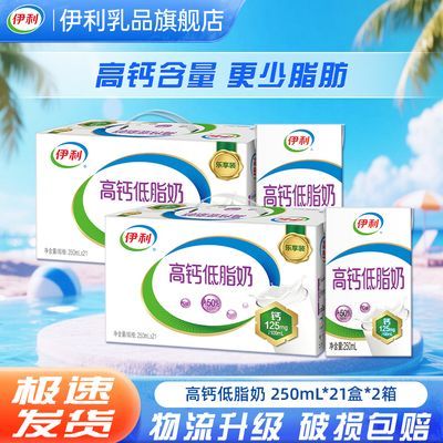 【6月底2箱】伊利高钙低脂牛奶250ml*21盒【带提手】礼盒装整箱