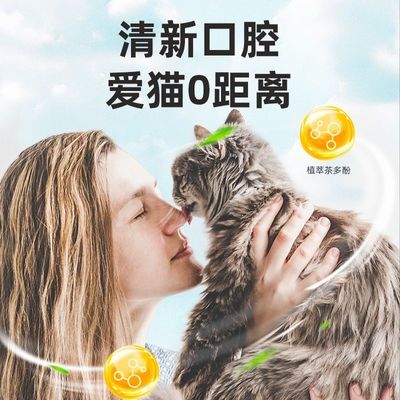 ڲMETZ/õ˹èèʳèӪèèèͨöװ9.9Ԫ