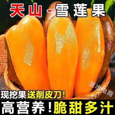 【批发】云南正宗天山雪莲新鲜低糖当季应季黄心水果现货整箱大果