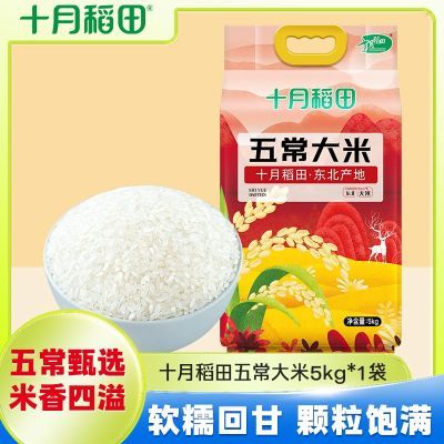 ڲʮµڶ峣5kg*1հװ׾ȱŴ47.3Ԫ