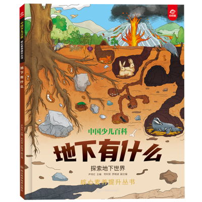 ���ڲ�����������ʲô 11.3Ԫ