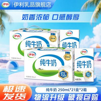 【6月2箱】伊利纯牛奶250ml*21盒 【带提手】送礼礼盒整箱批发