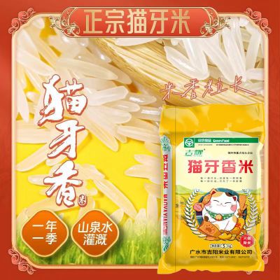 吉耀20斤10斤当季新米丝苗猫牙香大米正宗农家新米5斤长粒香米