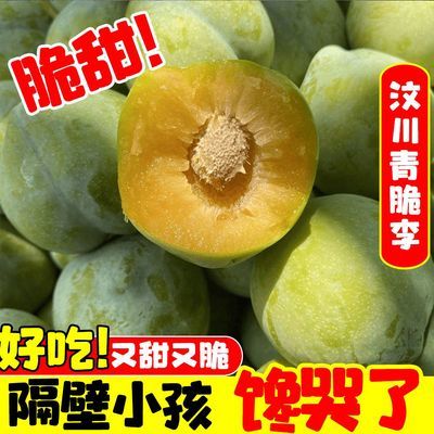 【脆甜脱骨】正宗四川汶川青脆李当季新鲜水果脱骨空心李子超脆甜