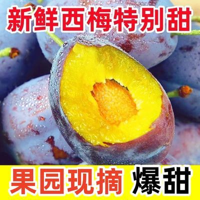 【果园直发】现摘正宗大西梅新鲜西梅新鲜水果甜西梅爆甜水果包邮