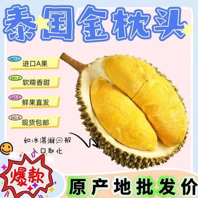 【首单直降】正宗进口泰国金枕头榴莲新鲜水果带壳当季整个鲜果