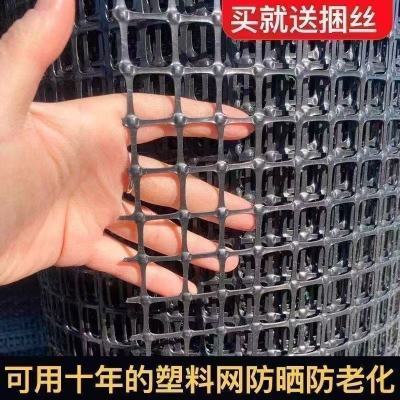 养殖网玉米网塑料网塑料围栏网养鸡网果园围栏防护网新款鸡网