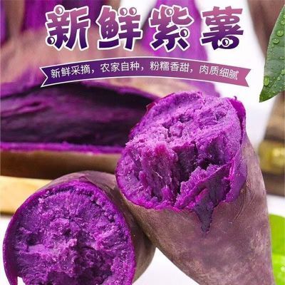 正宗紫薯沙地现挖新鲜紫薯紫罗兰蜜薯红薯地瓜板栗密薯蔬菜批发