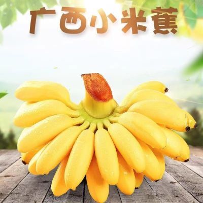 【正宗广西小米蕉】自然熟应季现摘新鲜水果薄皮本地粉香蕉甜糯优惠商品图片
