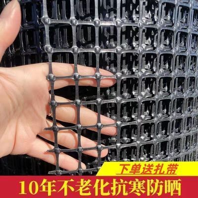 塑料网加厚特厚养鸡鸭鹅围栏网圈山圈地围果园防护围栏养殖网