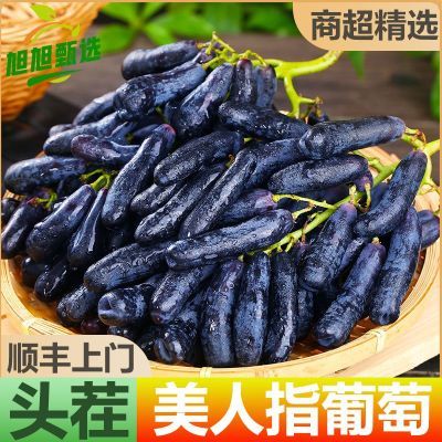 ڲͷ硿ָʯָˮ1/515.5Ԫ