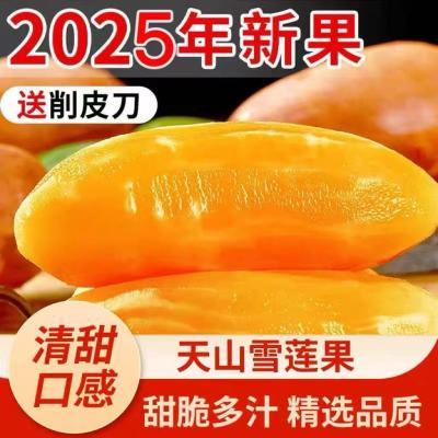 2025年天山雪莲果农家现挖黄心雪莲果脆甜多汁时令水果特产农产品