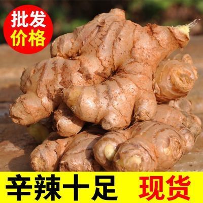 正宗云南小黄姜老姜生姜批发现挖月子姜老姜土姜黄姜新鲜蔬菜整箱