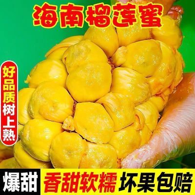 正宗海南三亚榴莲蜜新鲜热带水果巴掌榴莲蜜小个榴莲菠萝蜜批发价