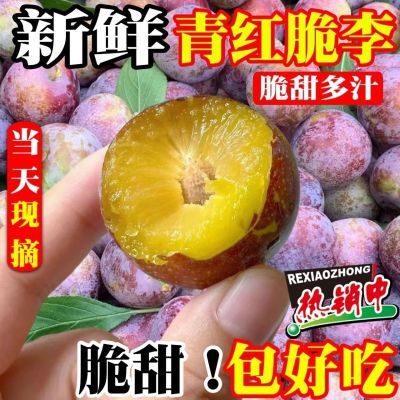【现货直发】四川脱骨李半边红青脆李空心脱骨李脆红李五月脆新鲜