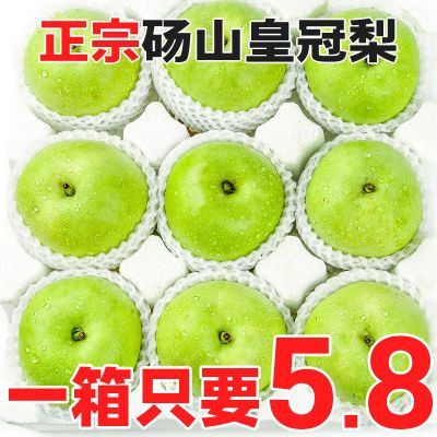 正宗砀山皇冠梨1/3斤梨子新鲜青梨水果薄皮整箱青皮梨蜜梨翠冠梨