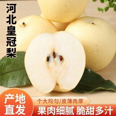 ڲ̳ƷʡںӱƷʹ澻5е250g+19.8Ԫ