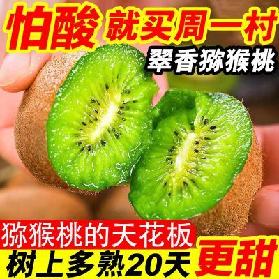 ڲ̳Ʒʡ⨺12/15/24ö70-90g 15.9Ԫ