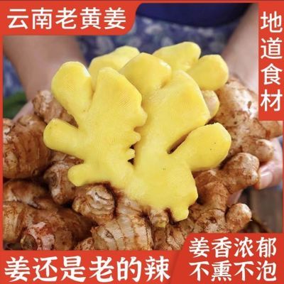 【产地直发】云南老姜批发生姜新鲜现挖月子自种农家老姜辛辣整箱