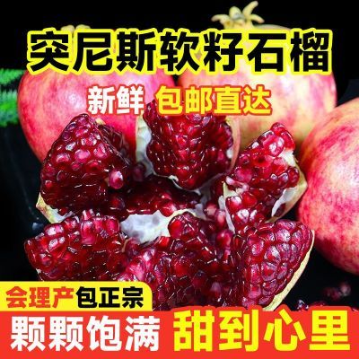 果农直销单个250g±果四川会理突尼斯软籽石榴甜石榴净重4.75斤
