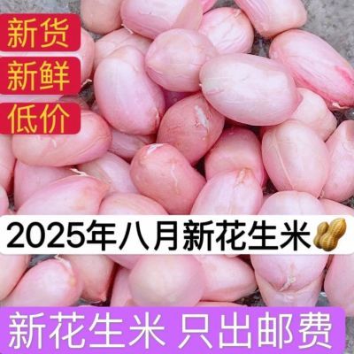 【25年新货】当季新鲜新花生米甄选花生现剥白沙花生米鲜花生批发