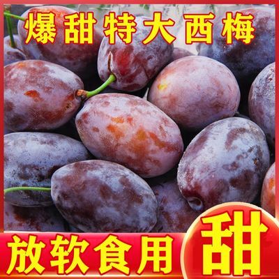 【放软剥皮吃】大西梅现摘新鲜正宗水果法兰西甜西梅蓝蜜女神李子