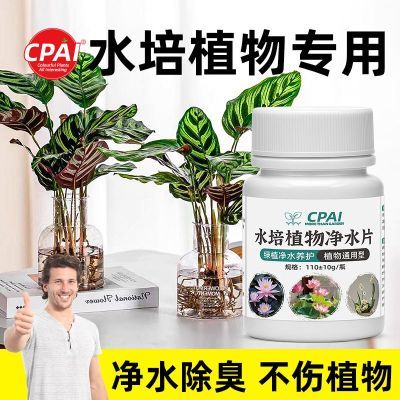 ڲCPAIˮ⻻ˮֲͨʻƬˮֲרƬˮ2.93Ԫ
