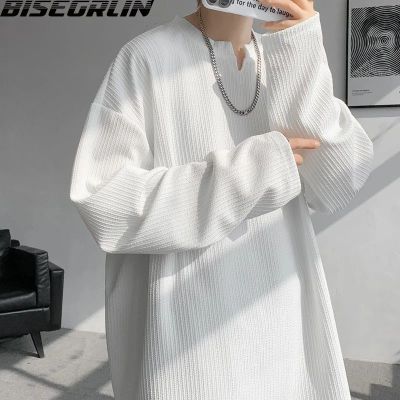 ڲBISEGRLIN¿гTŮVִ߽¼Լ29.8Ԫ