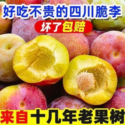 【热卖】正宗脱骨四川青脆空心李子新鲜应季孕妇水果半边脆甜整箱