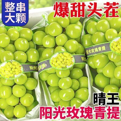 正宗阳光玫瑰晴王葡萄爆甜无籽青提子大整串新鲜水果整箱包邮批发