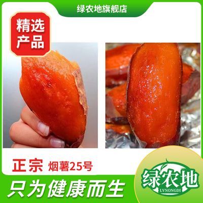 绿农地正宗烟薯25蜜薯糖心红薯红心流油沙地地瓜山芋番薯烤薯
