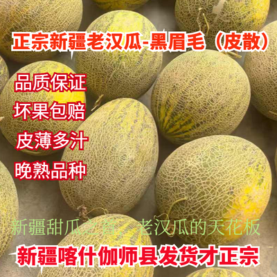 新疆特产老汉瓜黑眉毛皮散伽师瓜新鲜水果孕妇健康果哈密瓜优惠商品图片