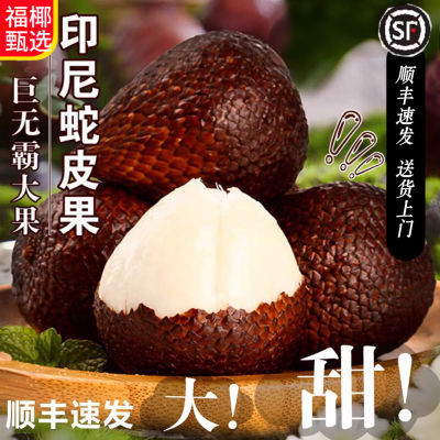 ڲ˳ʡӡƤʽϡкϡиʱȴˮ49.5Ԫ