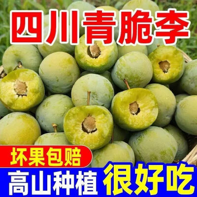 现摘】脱骨李分水李子应季水果空心土李子整箱批发
