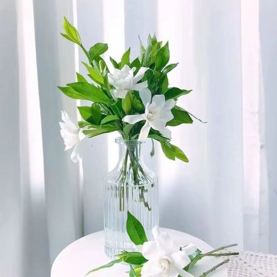 小叶大花栀子花花苞鲜切花四季室内植物净化空气直发客厅高级优惠商品图片