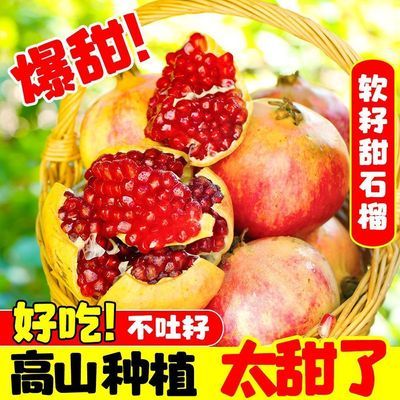 突尼斯软籽正宗石榴水果新鲜四川整箱会理采摘无籽批发成熟
