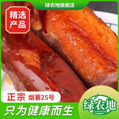 绿农地正宗烟薯25蜜薯糖心红薯红心流油沙地地瓜山芋番薯烤薯
