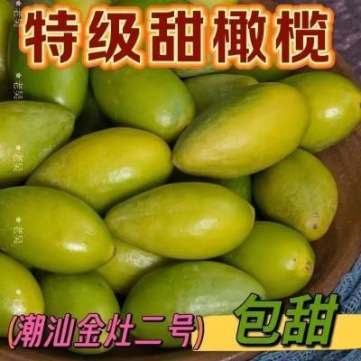潮汕正宗特级甜种橄榄现摘现发新鲜青果生吃甘甜无渣孕妇水果包邮