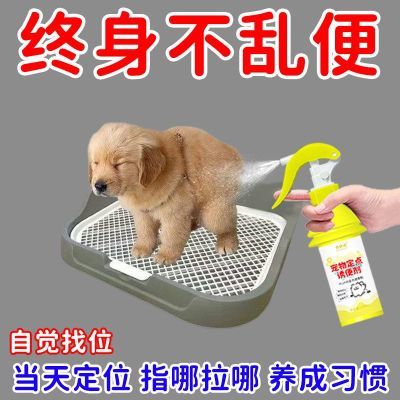 【定点排便】猫咪狗通用定点排便诱导剂定位大小便狗狗定位诱导剂