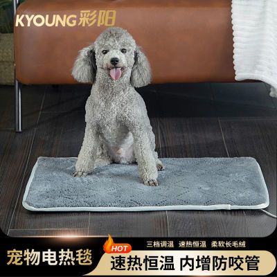 ڲ̺èµ̺èСůר÷ȵ湷ȡů̺ 44Ԫ