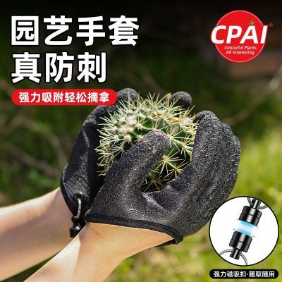 ڲCpai԰մ׻ֻݷ̷ĥˮ¼͸12.79Ԫ