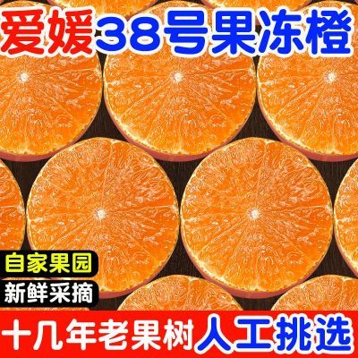 正宗眉山爱媛38号果冻橙应当季新鲜水果孕妇手剥柑桔橙子批发包邮【10月20日发完】