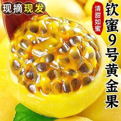 广西正宗钦蜜海南黄皮果现摘水果孕妇应季当季整箱黄金百香果