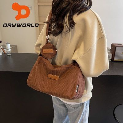 ڲDRYWORLDͨڴ2025¿صо޼Լбʱ33.8Ԫ