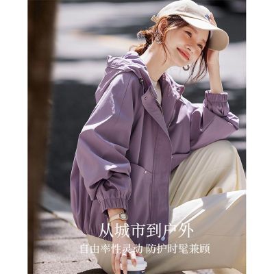 ���ڲ������о�2026��޹�²�ŷ�����ʹ�װ�������°ٴ����ñ���� 239Ԫ