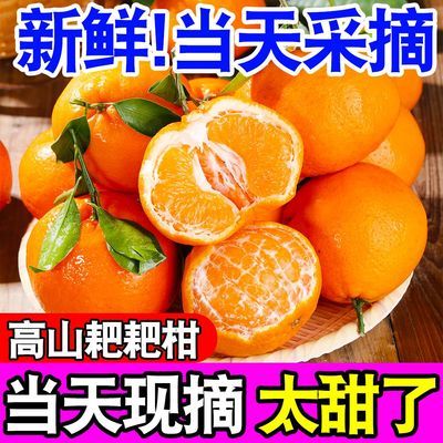 【防震包装】正宗四川耙耙柑当季新鲜水果爆甜春见粑粑柑丑橘10斤