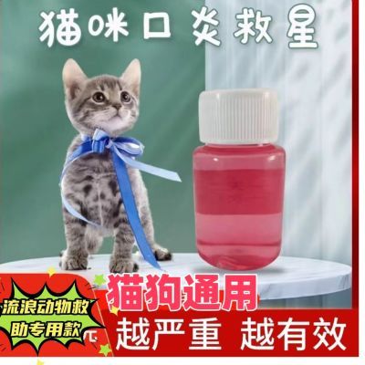 宠物口炎小粉水猫咪狗流口水口臭牙龈红肿口腔溃疡肉芽肿杯状疱疹
